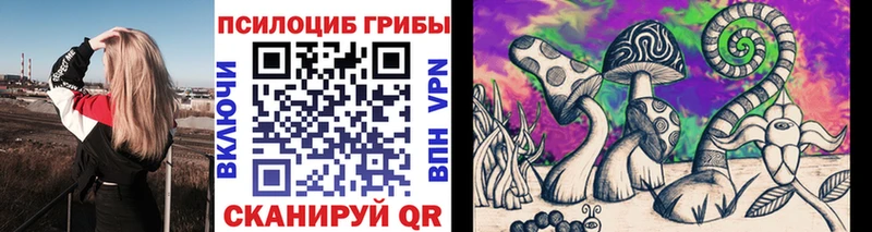 Псилоцибиновые грибы Psilocybine cubensis  Бор 