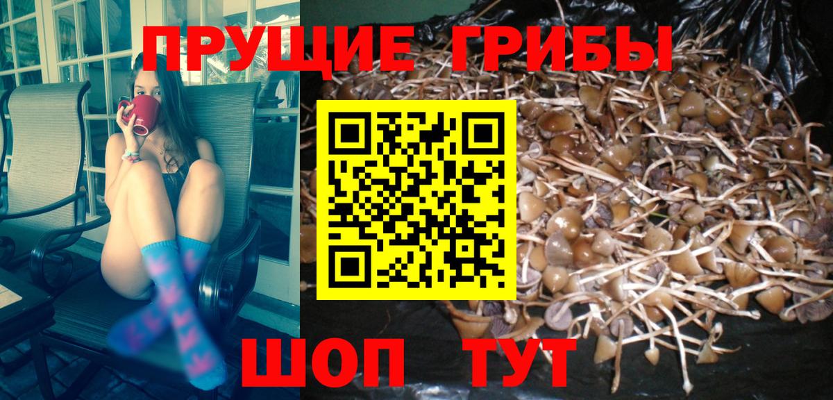 Псилоцибиновые грибы Magic Shrooms Бор