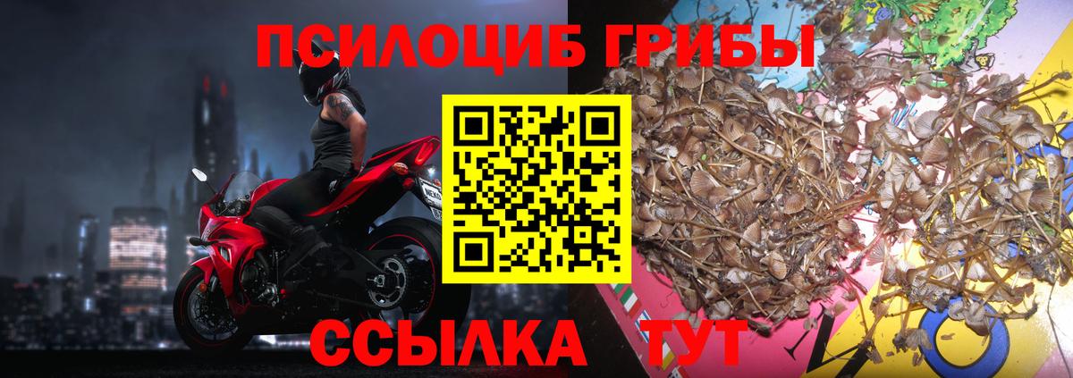 Бор  Галлюциногенные грибы мухоморы  Вход с VPN 
