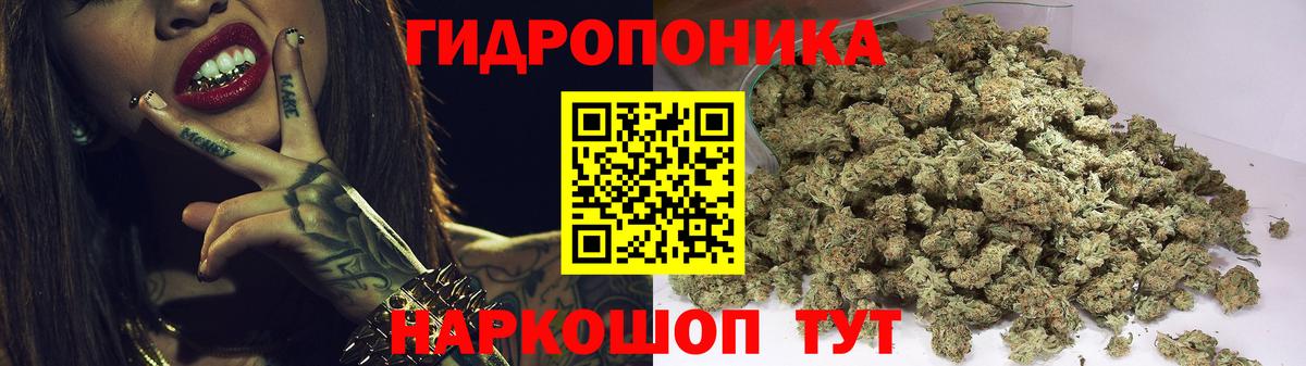 Бошки Шишки MAZAR Бор
